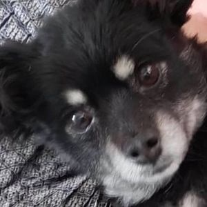 Meet your Posher, Sabrina